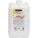Morfose Herbal Classic Shampoo 5000ml
