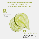 The Bath Factory Olivenöl Duschgel 400ml