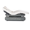 Lyre Grey Lg Wma Treatment Bed (4 Motors)(p.p.)