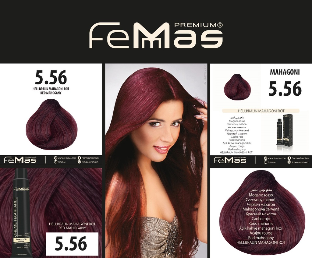 FemMas Haarfarbe Hellbraun Mahagonı Rot (5.56) 100ml