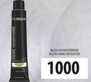 FemMas Haarfarbe Bleıchverstarker (1000) 100ml