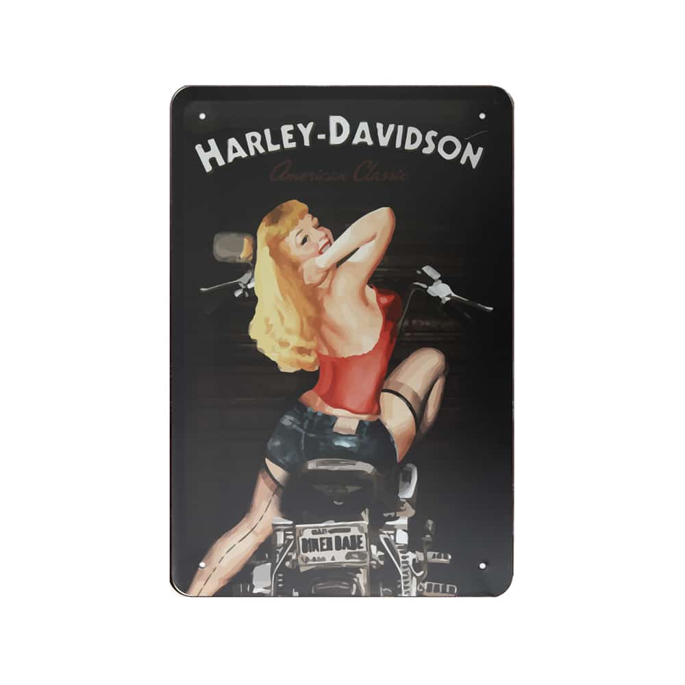 [ART:15028] Bate Metallbild 30x20 Art:15028