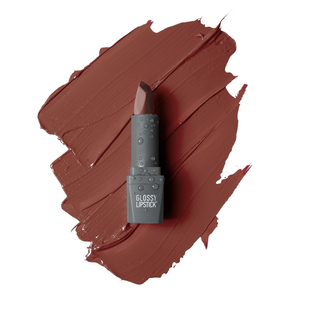 [Alix58] Alix Avien Glossy Lipstick Spicy Terracotta 310