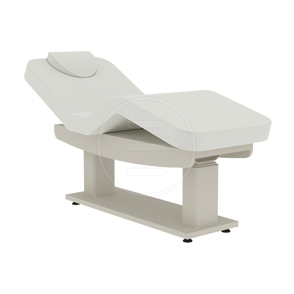 [AP6521] Lyre Basic Lg Treatment Bed (4 Motors)(p.p.)