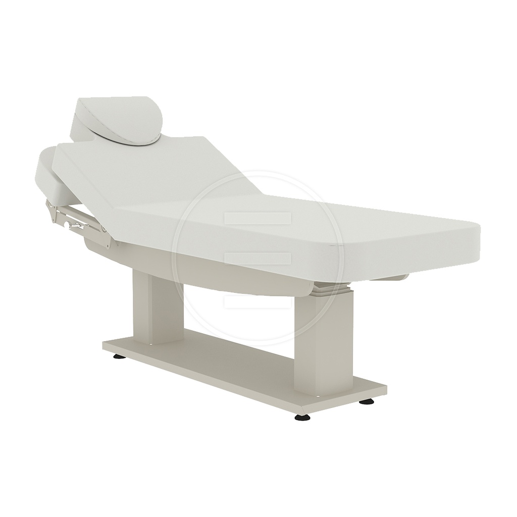 [AP6524] Lyre Basic Wma Treatment Bed (3 Motors)(p.p.)