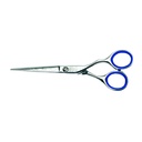 Kiepe Studio Style Code 2435 (5.5) inch