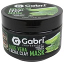 Gabri Professional - Gesichtsmaske mit Tonerde und Aloe Vera 450g